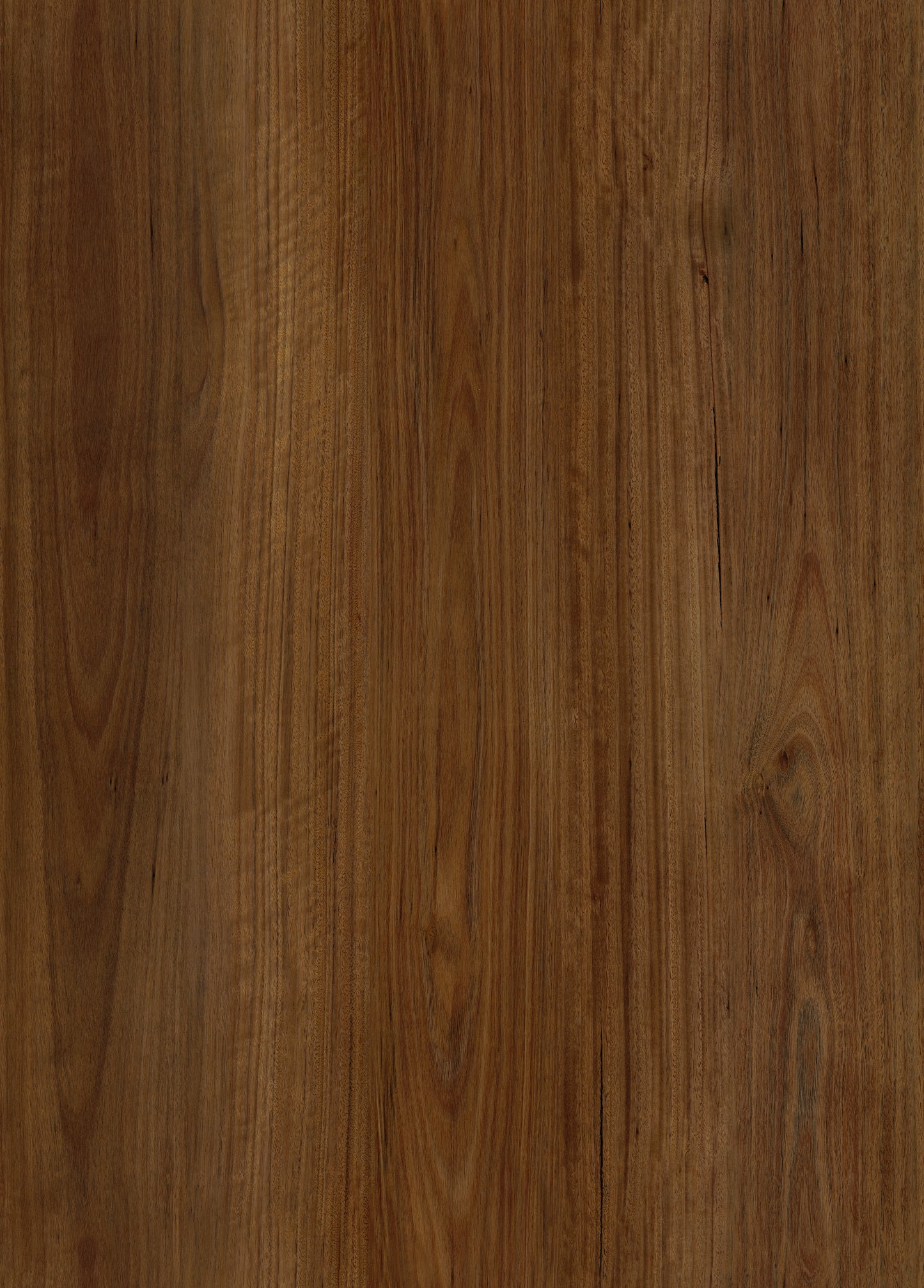 PISO SPC, BOGOTÁ, COLOMBIA, MELHS