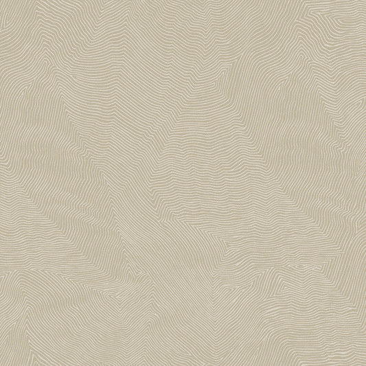 PAPEL DE COLGADURA VALENTINO A99929920 (ROLLO)