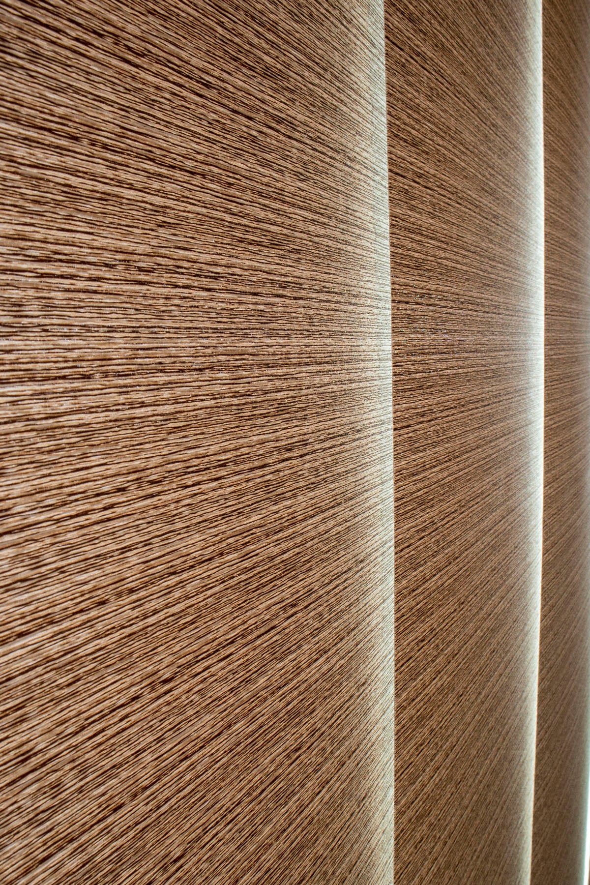 PANEL JAPONES, BOGOTÁ, COLOMBIA, MELHS