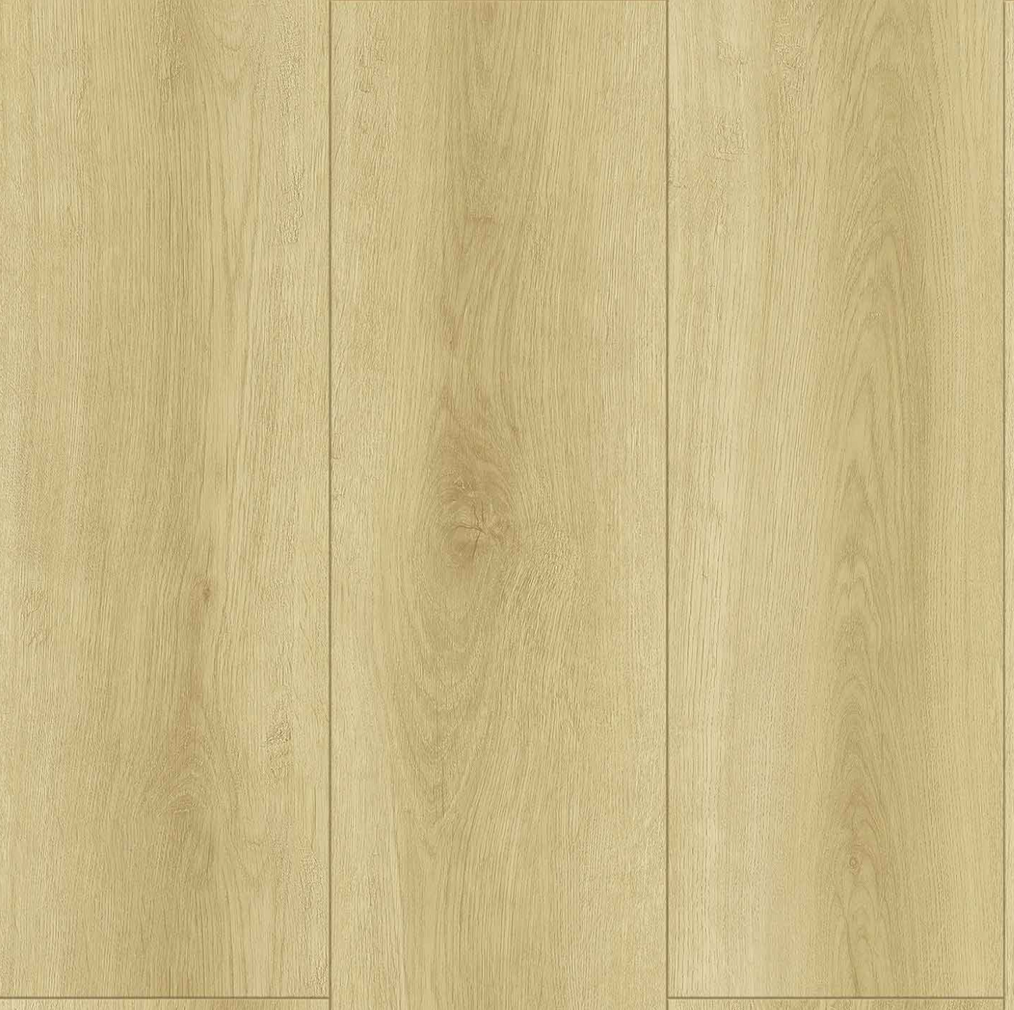 PISO MFB, BOGOTÁ, COLOMBIA, MELHS