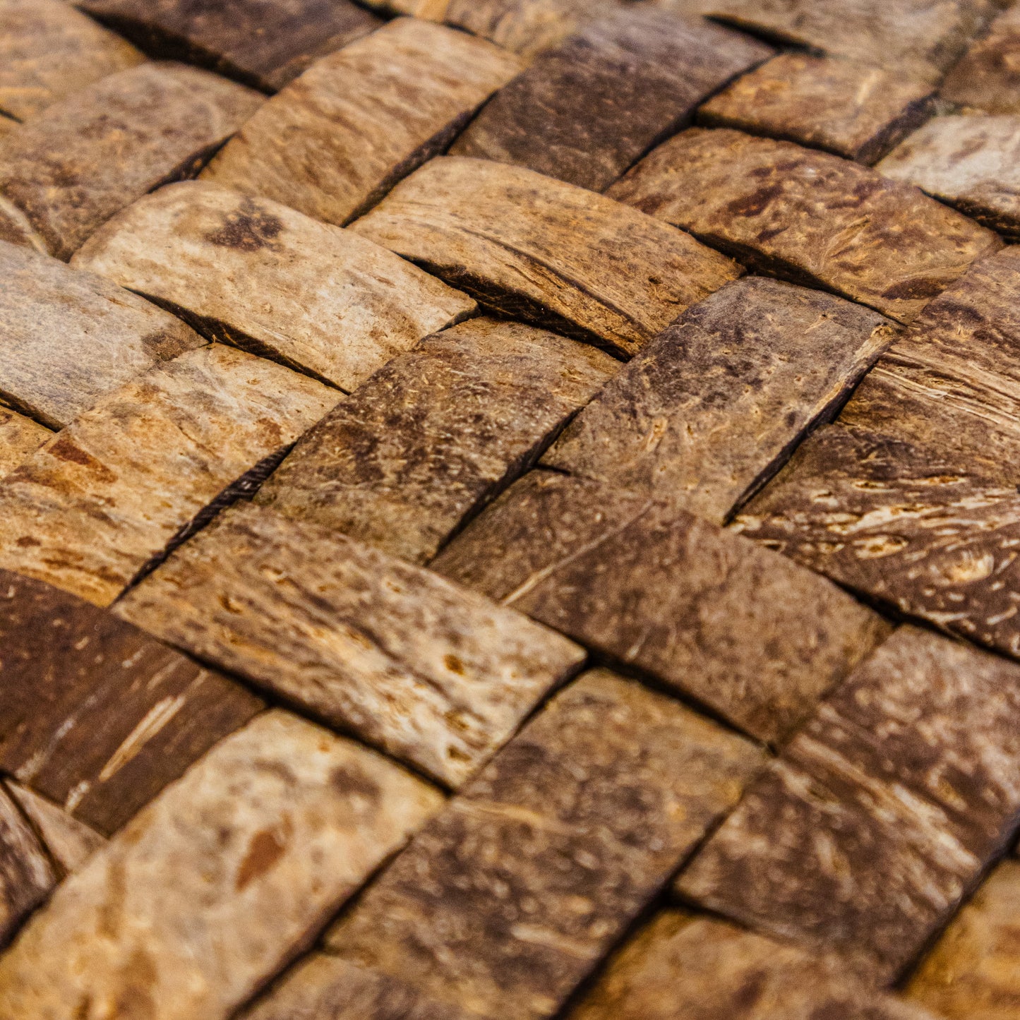 PARED COCO, BOGOTÁ, COLOMBIA, MELHS