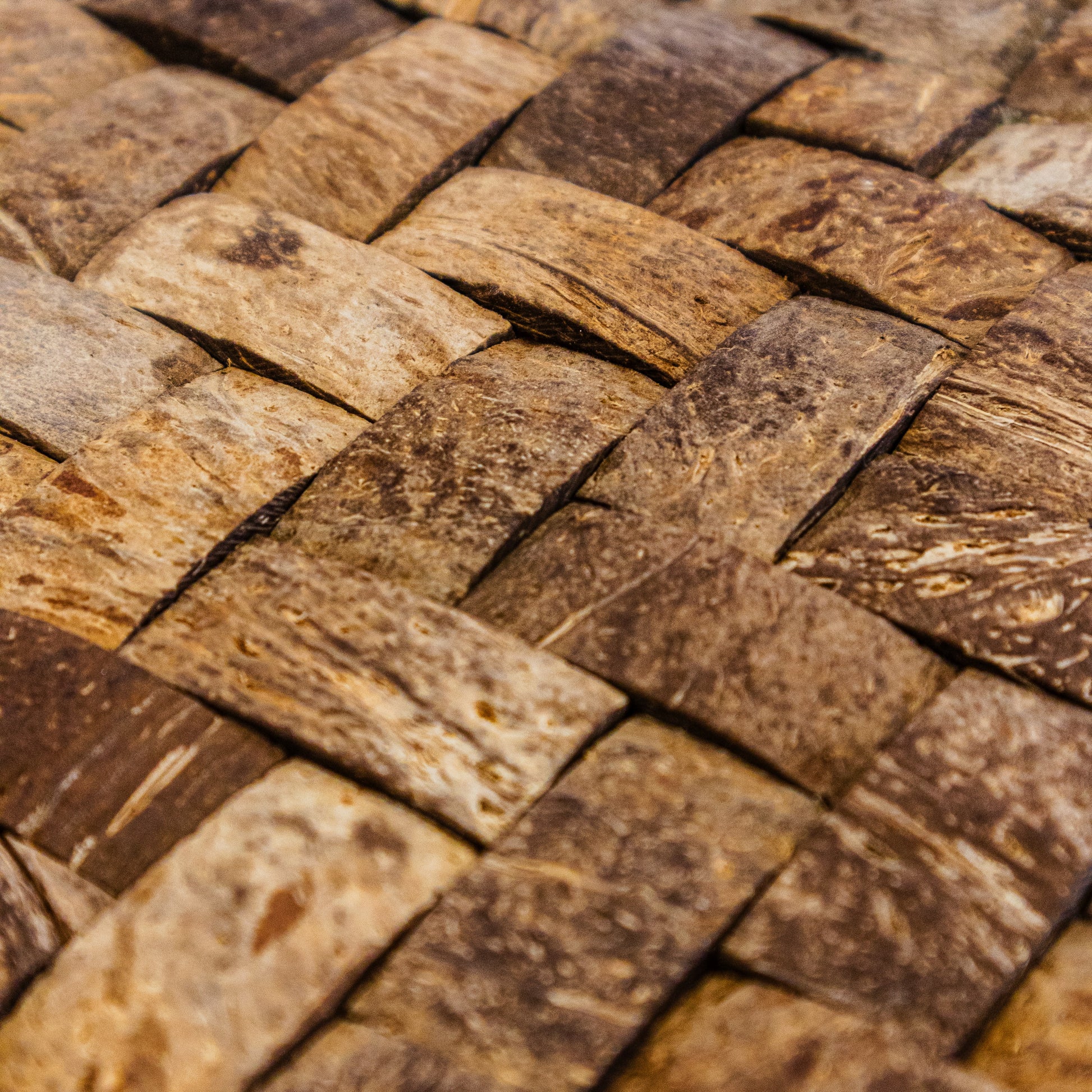 PARED COCO, BOGOTÁ, COLOMBIA, MELHS