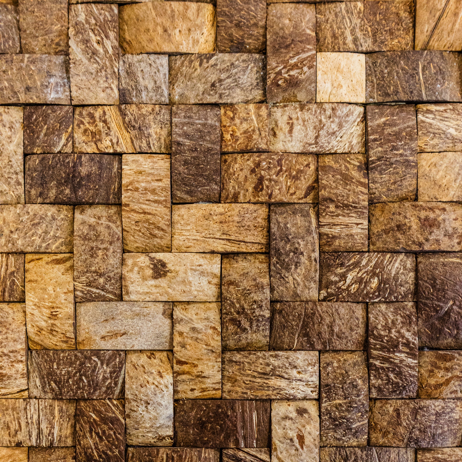 PARED COCO, BOGOTÁ, COLOMBIA, MELHS