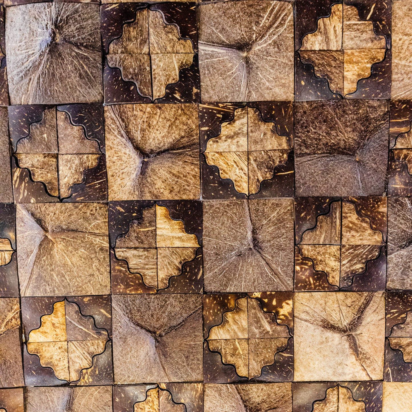 PARED COCO, BOGOTÁ, COLOMBIA, MELHS