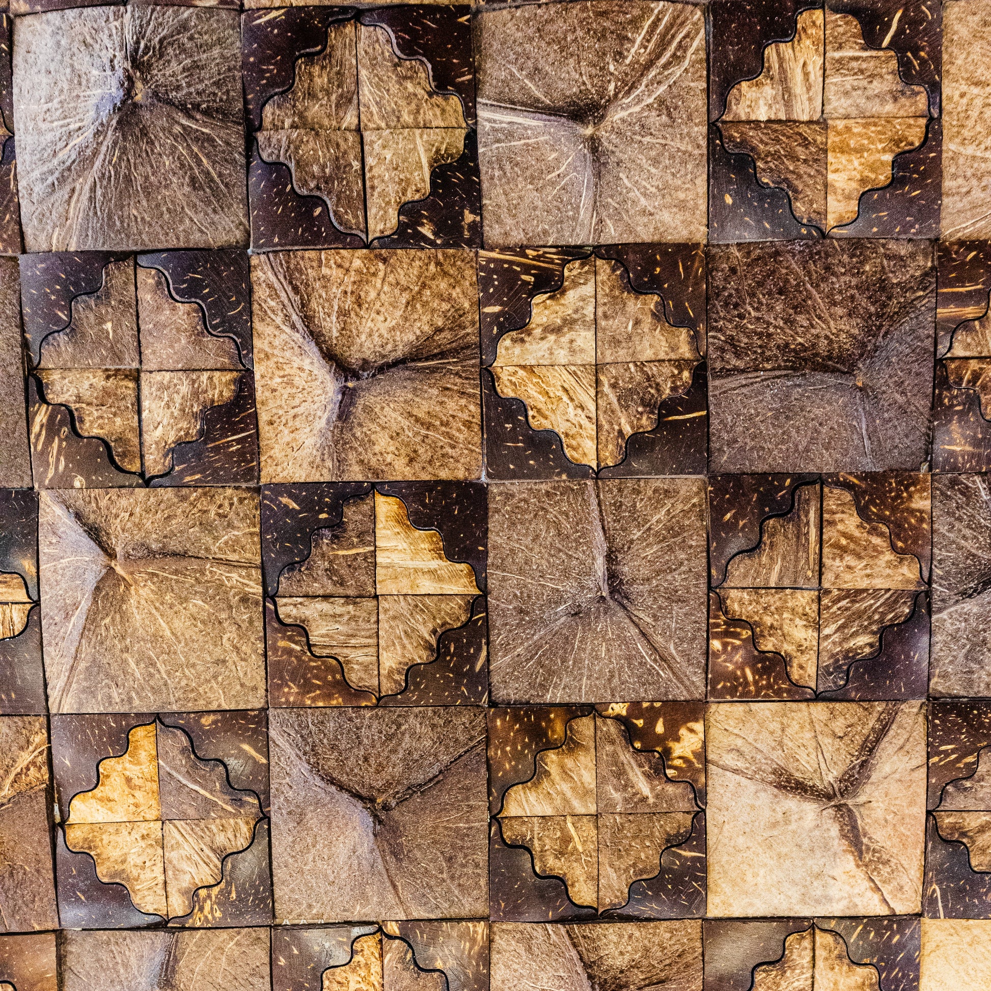 PARED COCO, BOGOTÁ, COLOMBIA, MELHS