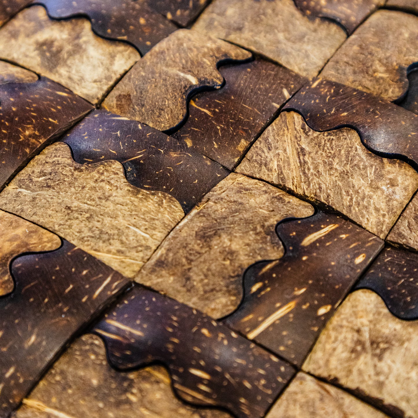 PARED COCO, BOGOTÁ, COLOMBIA, MELHS