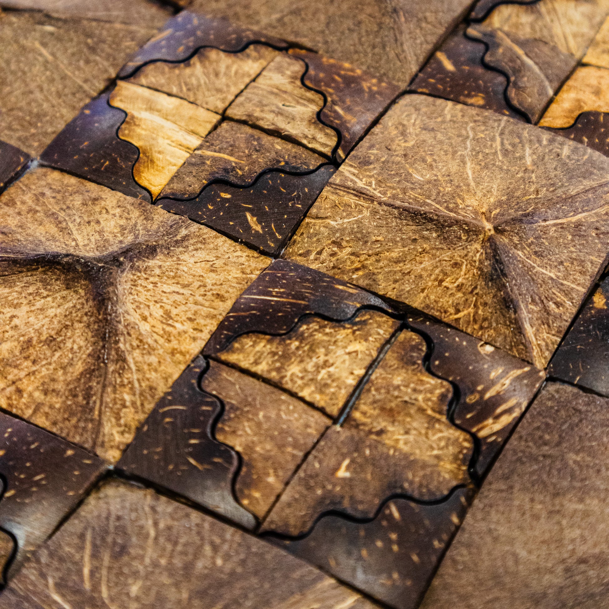 PARED COCO, BOGOTÁ, COLOMBIA, MELHS