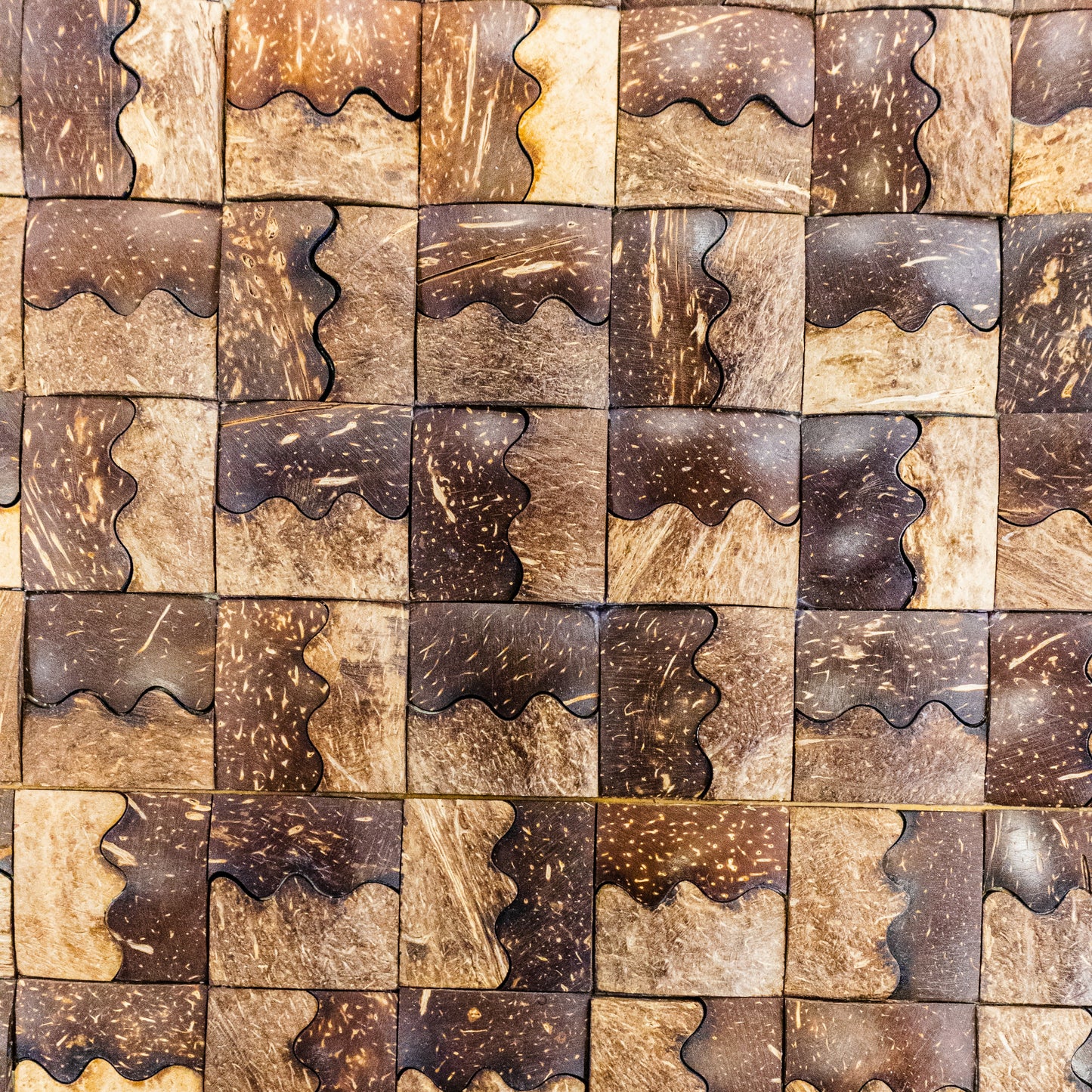 PARED COCO, BOGOTÁ, COLOMBIA, MELHS