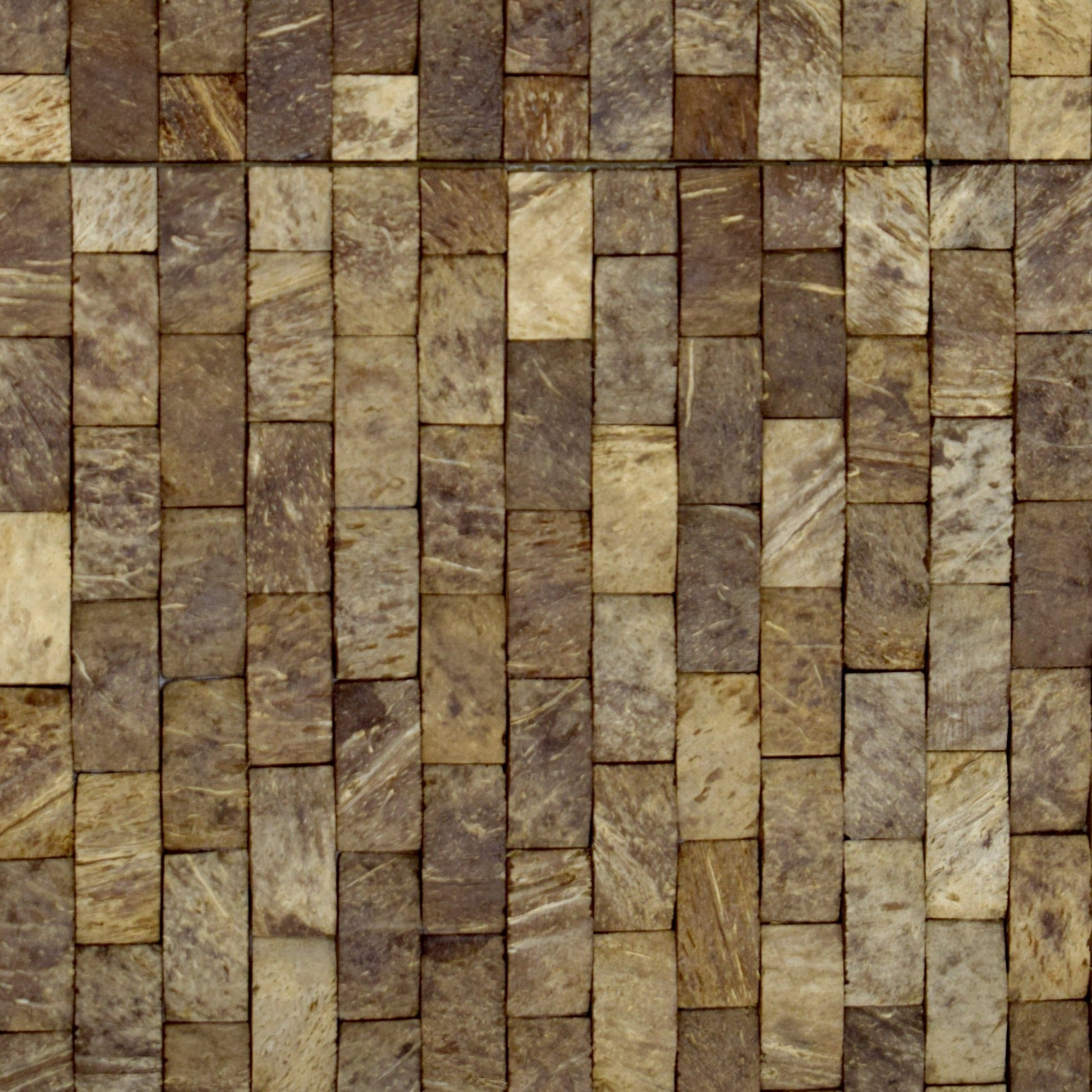 PARED COCO, BOGOTÁ, COLOMBIA, MELHS