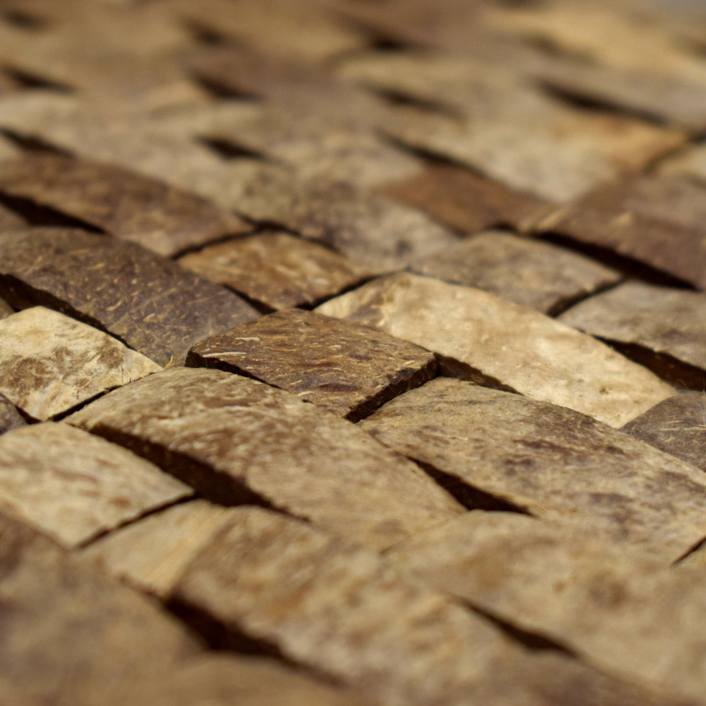 PARED COCO, BOGOTÁ, COLOMBIA, MELHS