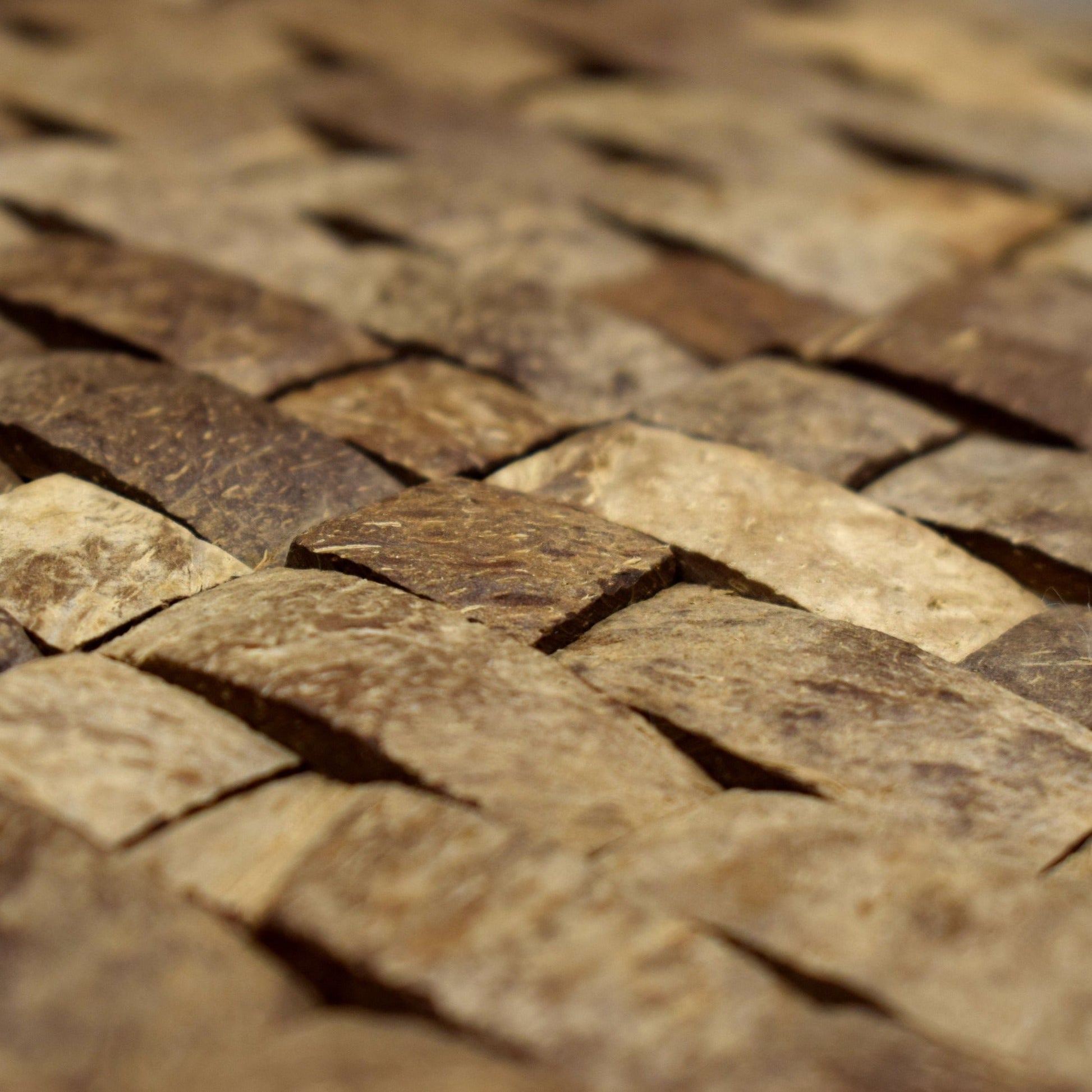 PARED COCO, BOGOTÁ, COLOMBIA, MELHS