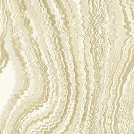 PAPEL DE COLGADURA SALVAJE VG981043 (Rollo)