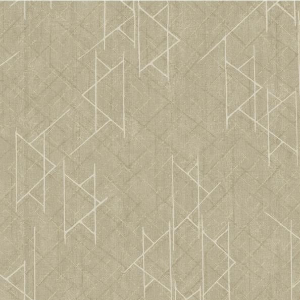 PAPEL DE COLGADURA SALVAJE VH991034  (Rollo)