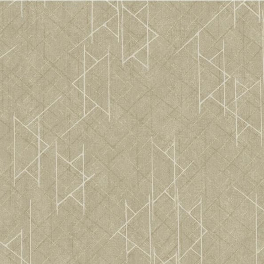 PAPEL DE COLGADURA SALVAJE VH991034  (Rollo)