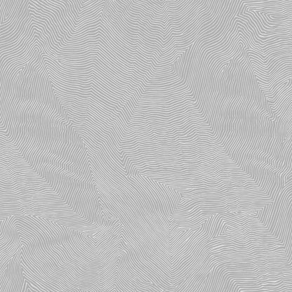 PAPEL DE COLGADURA VALENTINO A99929919 (ROLLO)